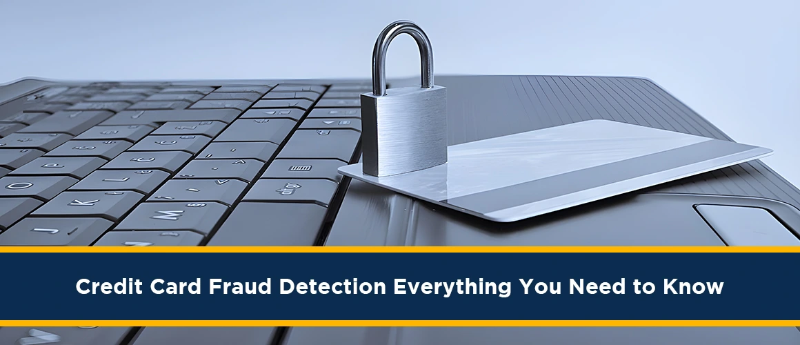 Credit-Card-Fraud-Detection-Everything-You-Need-Know 